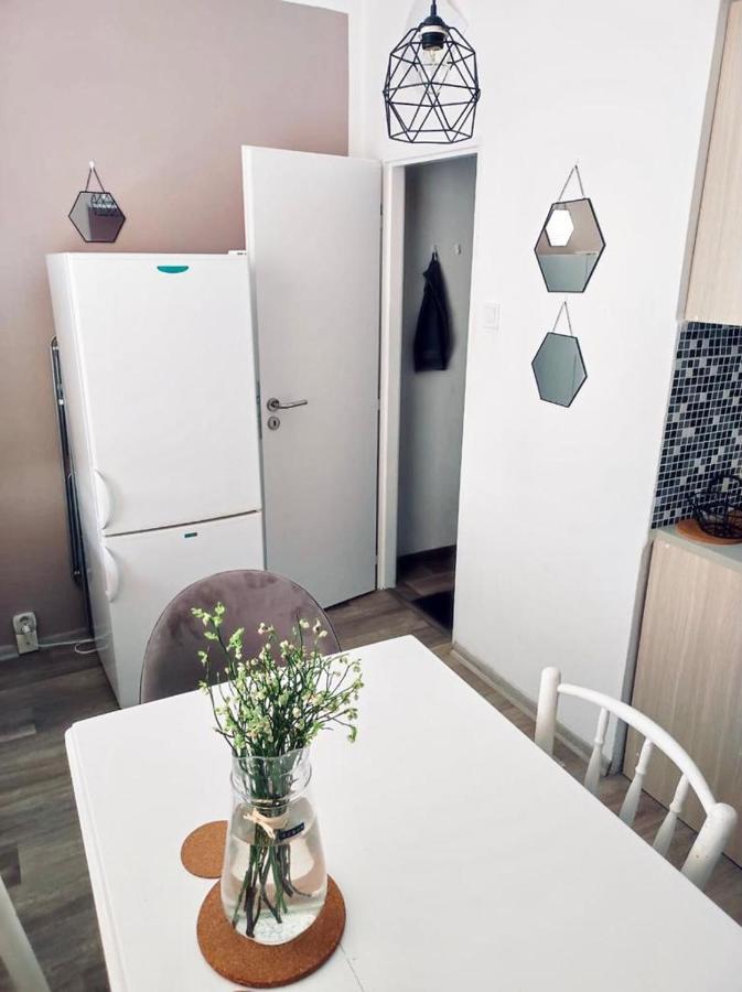 Apartmán Domov Děčín Decin Exterior foto